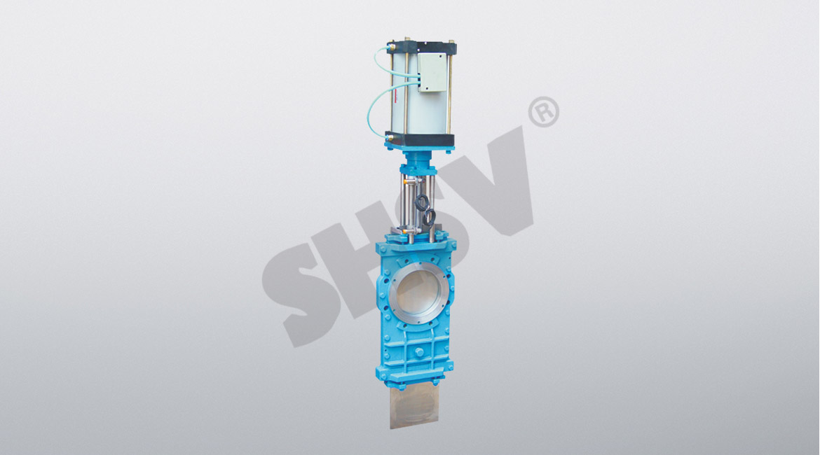  Throttle insert valve