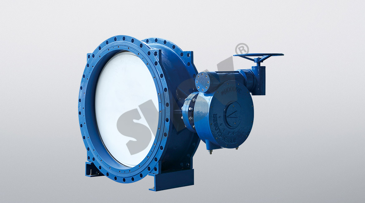 Worm double eccentric butterfly valve