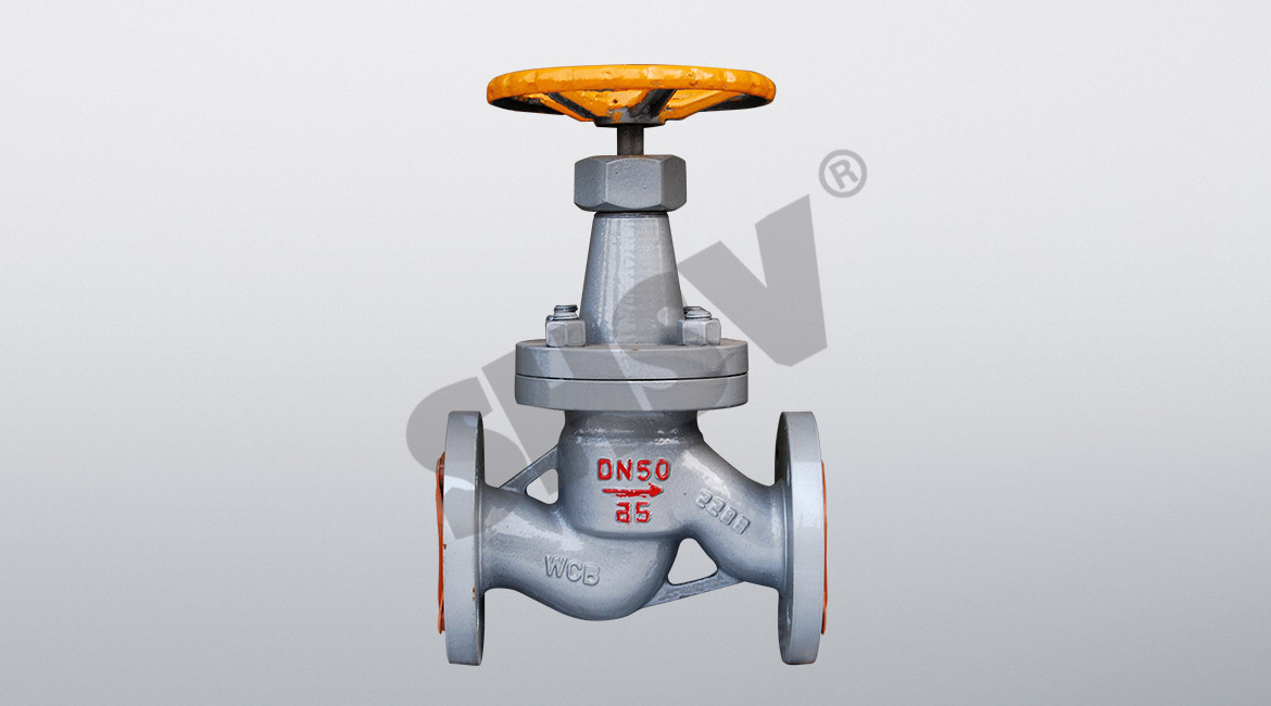 Globe dark globe valves