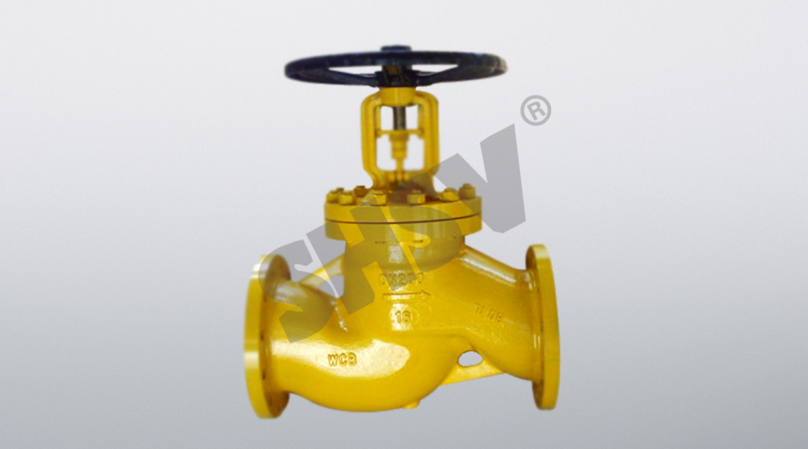 Chlorine dedicated globe valve