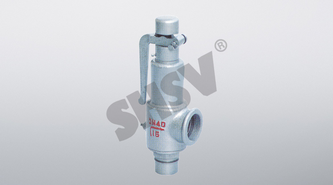 Spring-wide safety valve