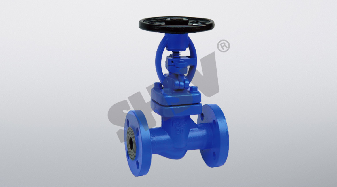 GB (A105) bellows globe valve