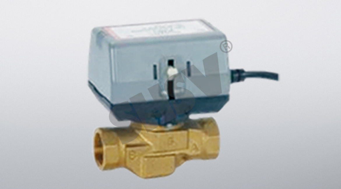 Electric two-way valve