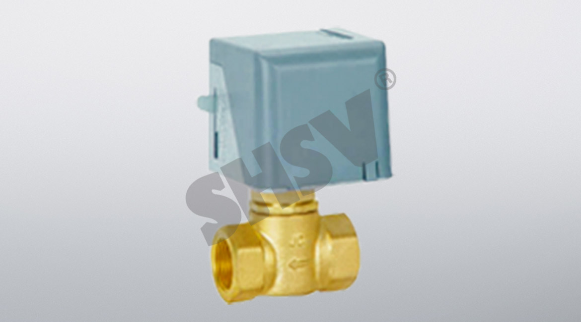 Electric two-way valve