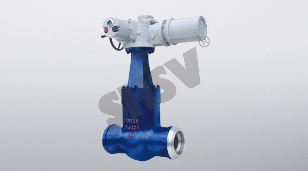 Power station gate valve