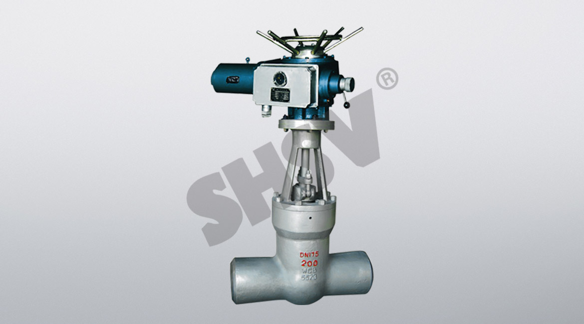 High temperature and high pressure electric gate valve