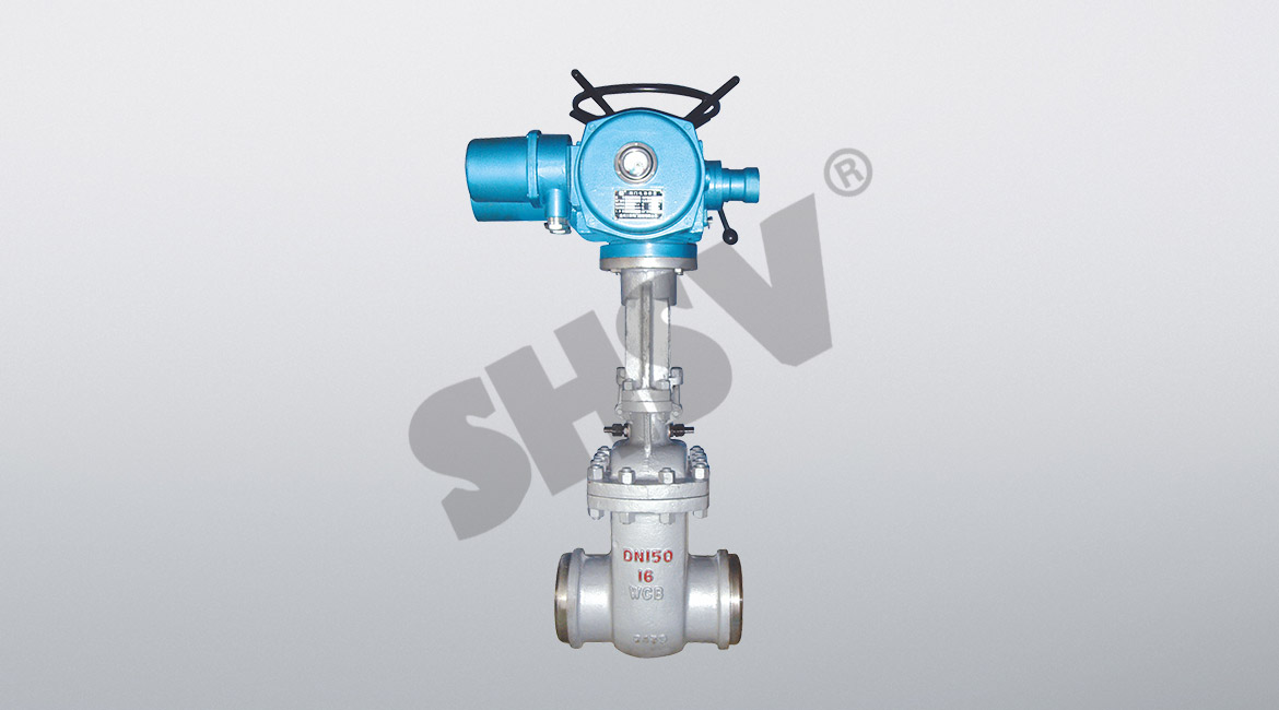 Water Seal Gate Valve