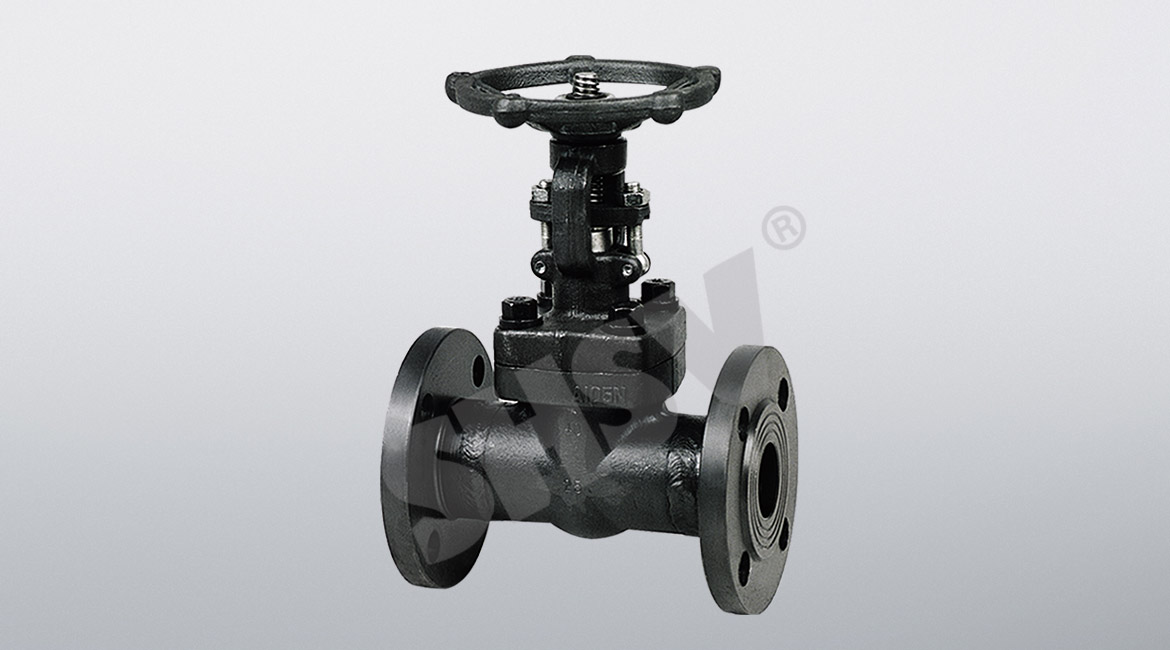 GB forged steel flange valve