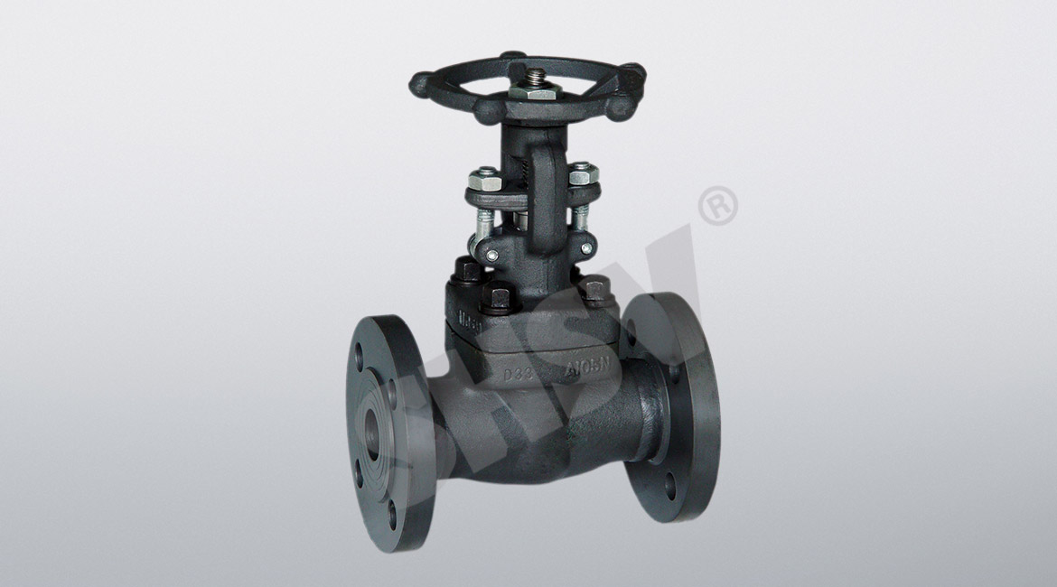 American Standard forged steel flange valve