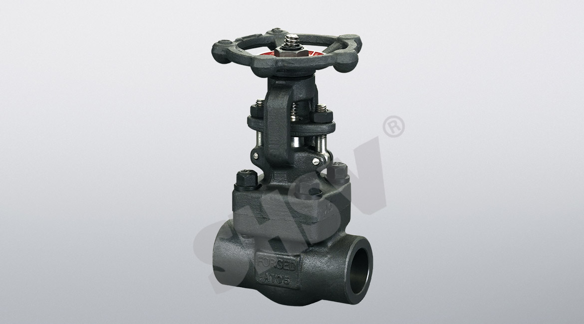 Forged Steel Female Thread, Socket Welded Gate Valve