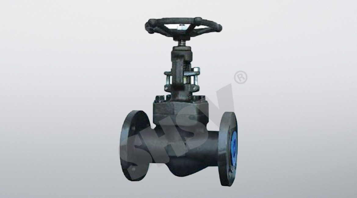 GB forged steel flange globe valve