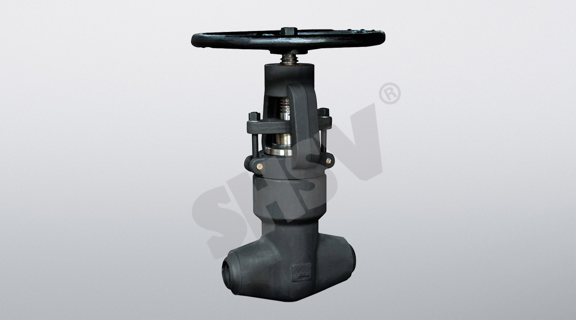 Self-sealing 2500Lb globe valve