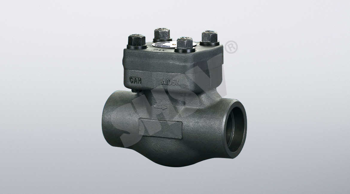 Forged steel thread, bearing check valve