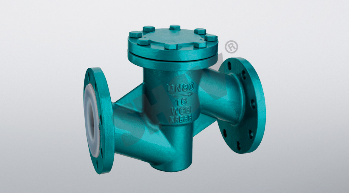 Lifelift fluorine check valve