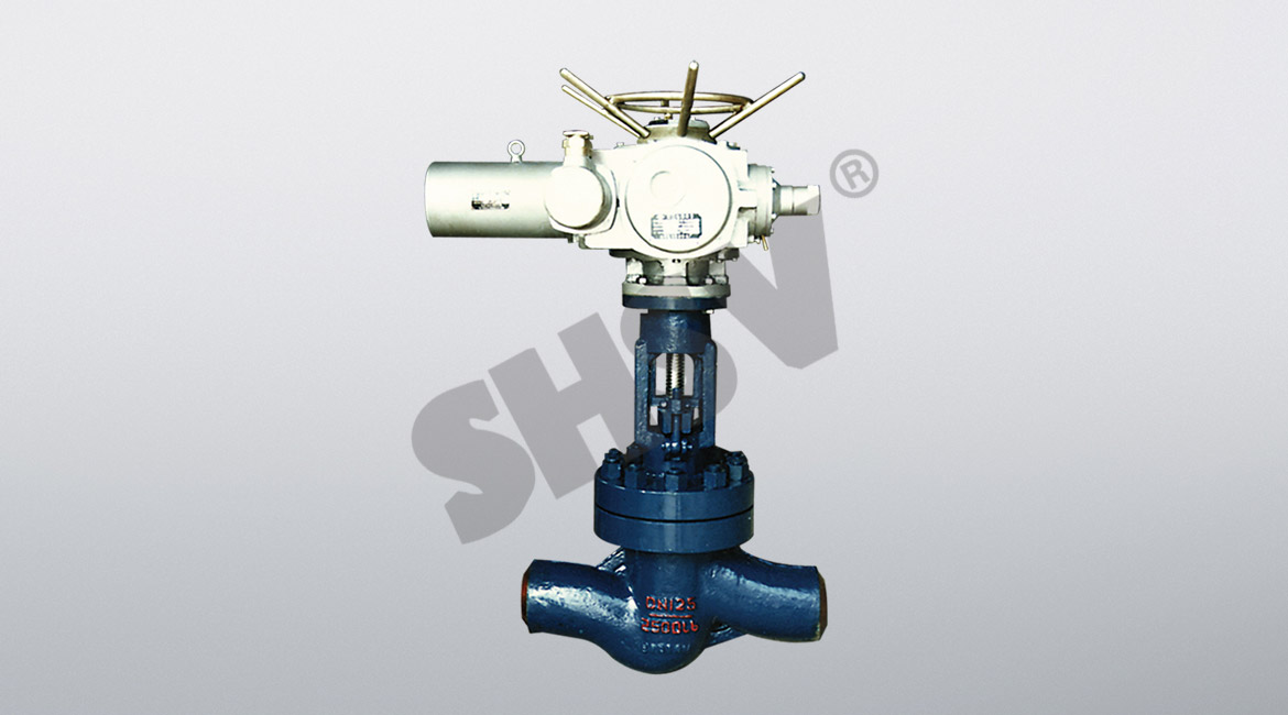 High temperature and high pressure electric globe valve