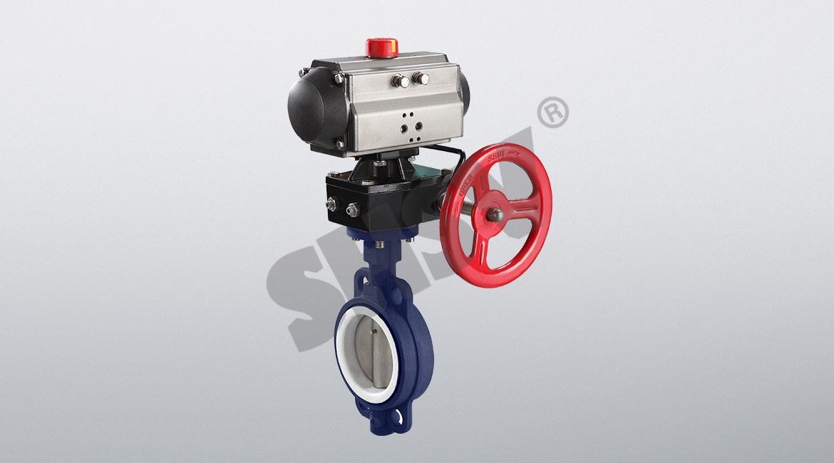 Pneumatic PTFE valve