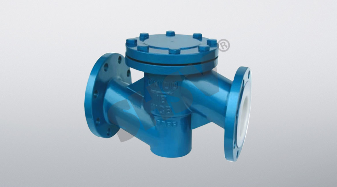 Lifelift fluorine check valve