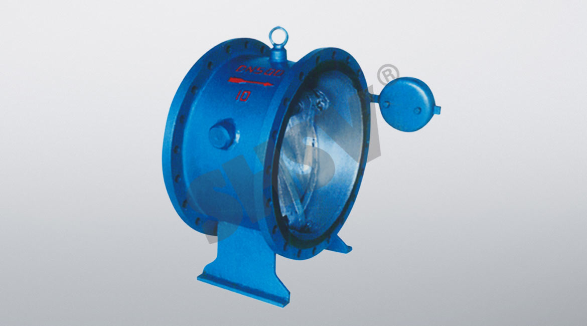 Slow-closing micro-resistance check valve 