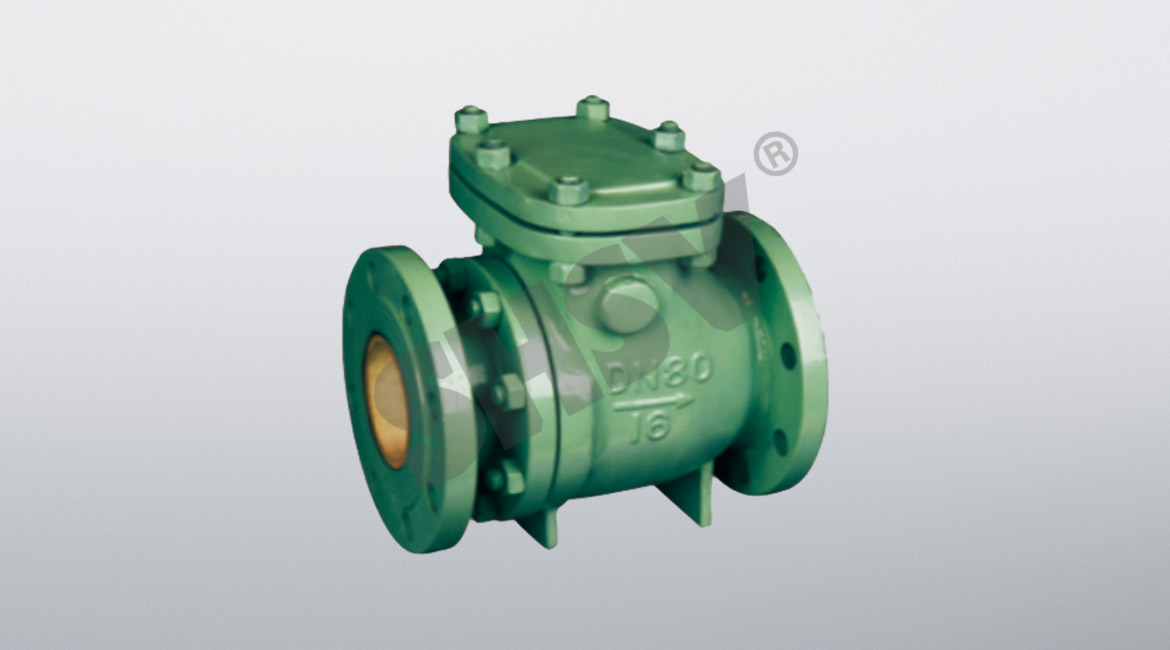 Ceramic Swing Check Valve