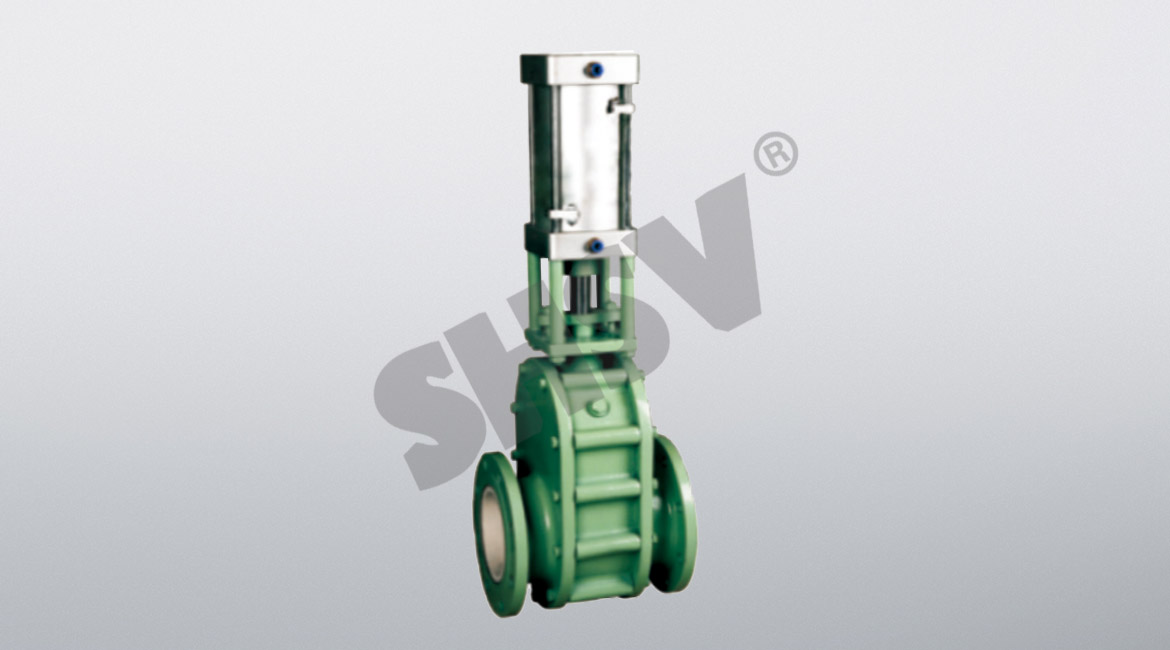 Pneumatic ceramic double gate valve