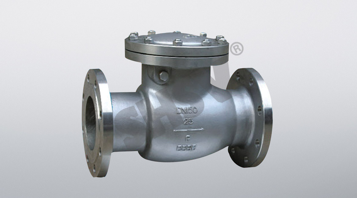 Stainless steel swing check valve