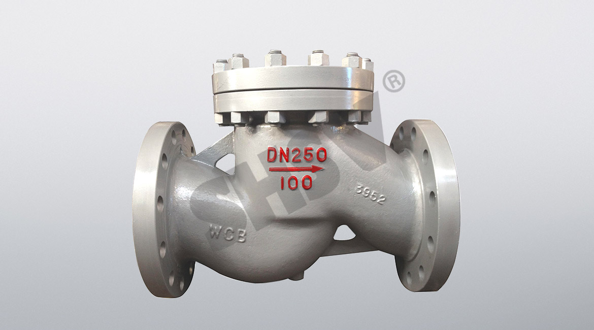 National standard lift check valve