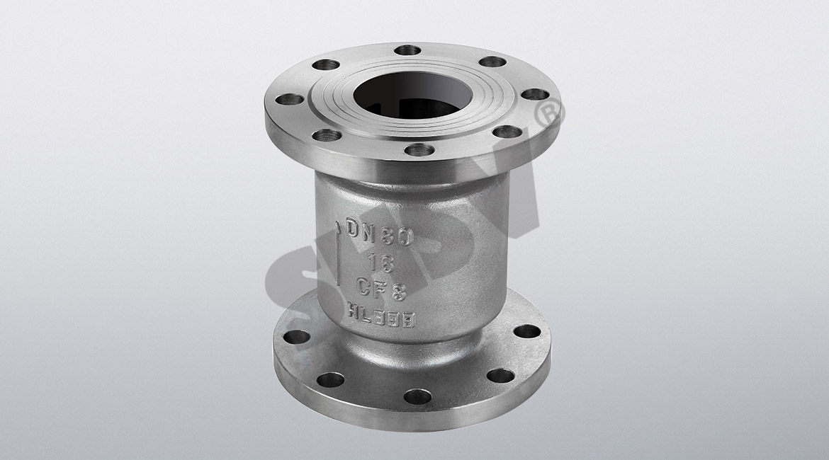 Stainless steel vertical check valve