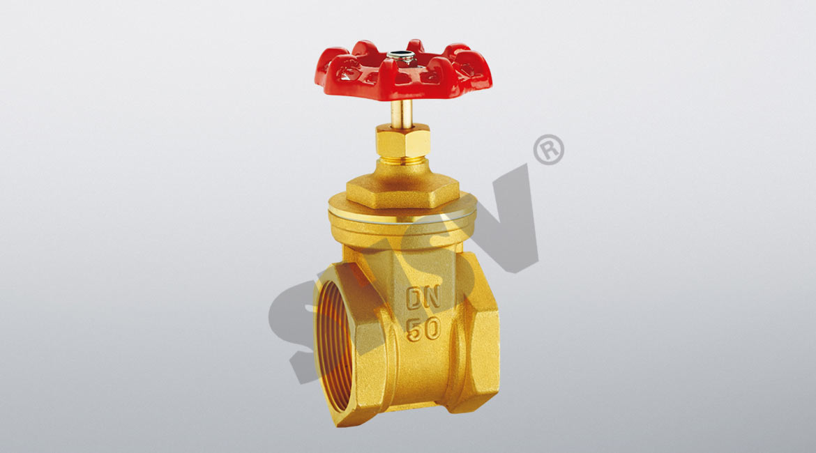 Brass flanged gate valve