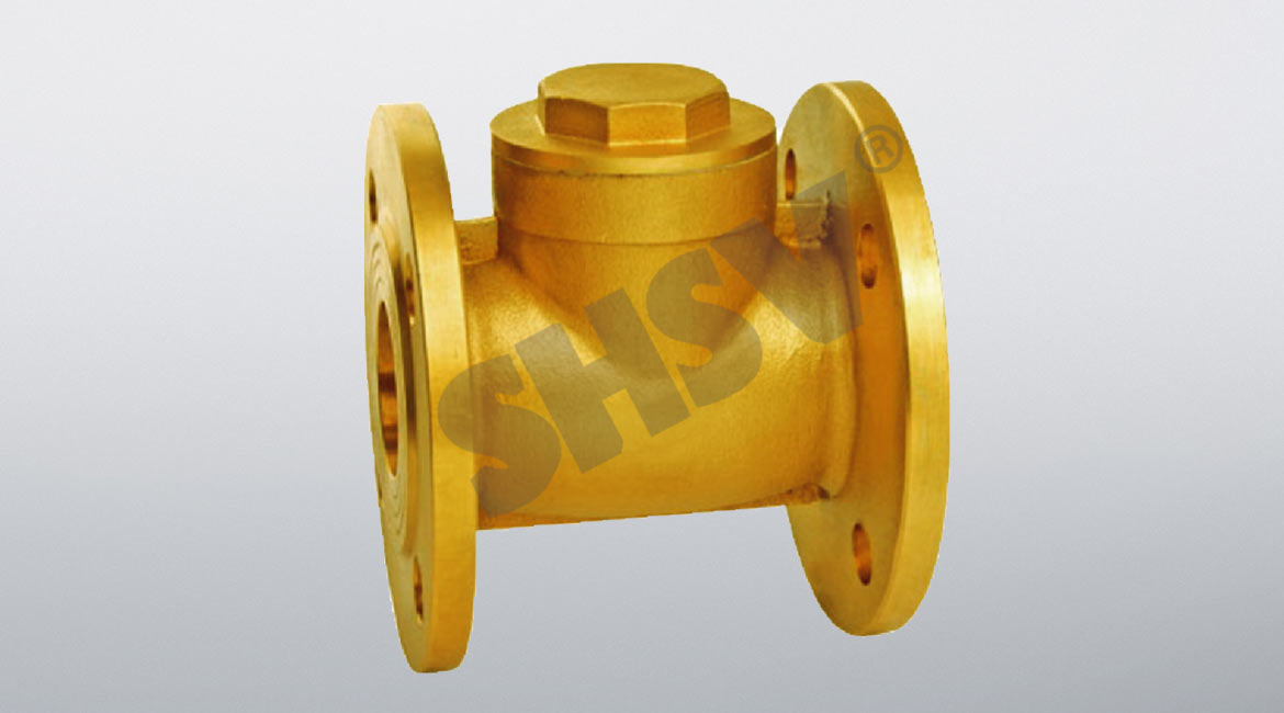 Horizontal flange check valve