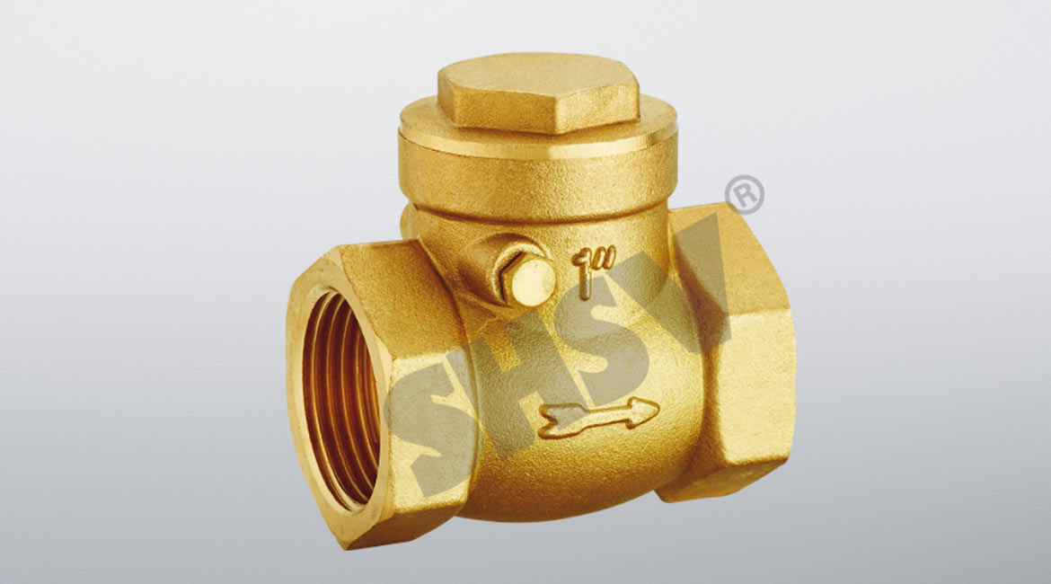 Horizontal check valve